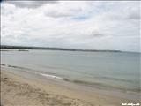 El Muelle Casi Pesca - ARECIBO